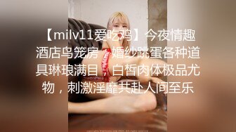 【milv11爱吃鸡】今夜情趣酒店鸟笼房，婚纱跳蛋各种道具琳琅满目，白皙肉体极品尤物，刺激淫靡共赴人间至乐