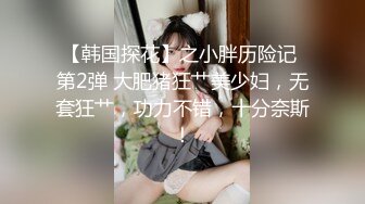 【韩国探花】之小胖历险记 第2弹 大肥猪狂艹美少妇，无套狂艹，功力不错，十分奈斯！