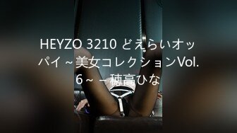 HEYZO 3210 どえらいオッパイ～美女コレクションVol.6～ – 穂高ひな