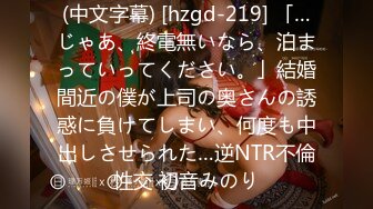 (中文字幕) [hzgd-219] 「…じゃあ、終電無いなら、泊まっていってください。」結婚間近の僕が上司の奥さんの誘惑に負けてしまい、何度も中出しさせられた…逆NTR不倫性交 初音みのり