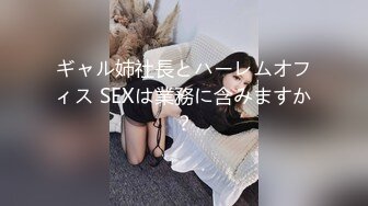 ギャル姉社長とハーレムオフィス SEXは業務に含みますか？