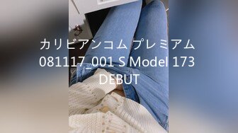 カリビアンコム プレミアム 081117_001 S Model 173 DEBUT