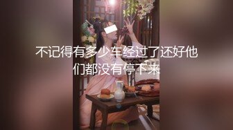 不记得有多少车经过了还好他们都没有停下来