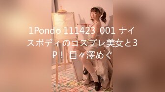 1Pondo 111423_001 ナイスボディのコスプレ美女と3P！ 目々澤めぐ